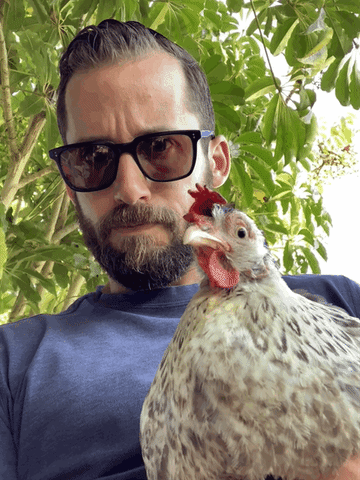giphy.gif