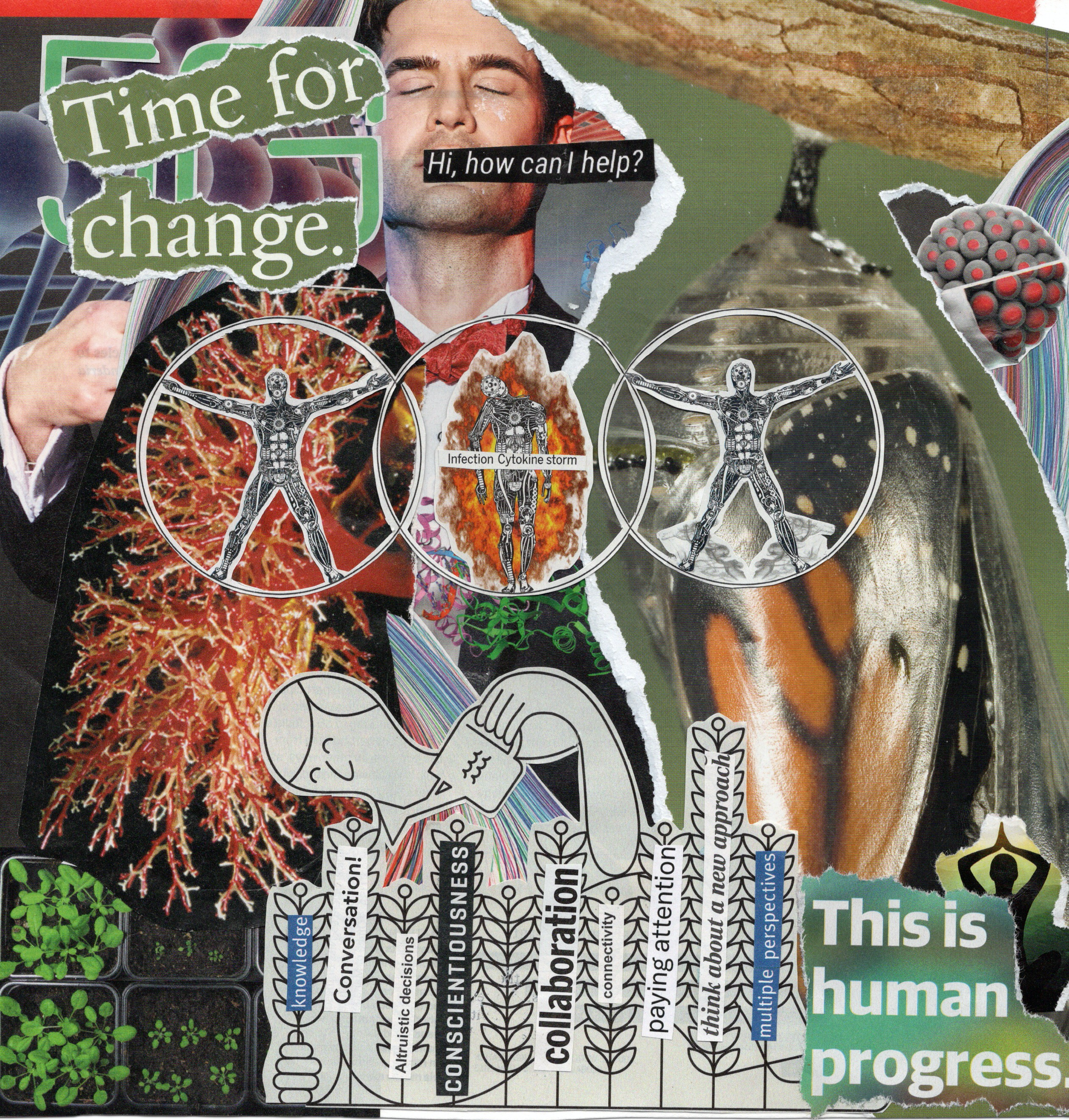 a25340_ Chrysalis.png