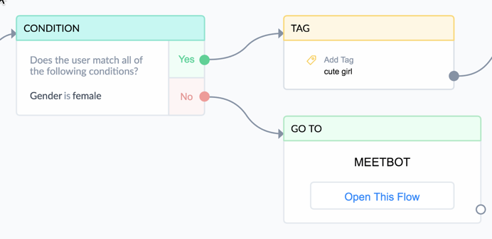 FLIRTBOT GENDER VARIABLE.png